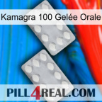 Kamagra 100 Gelée Orale 17